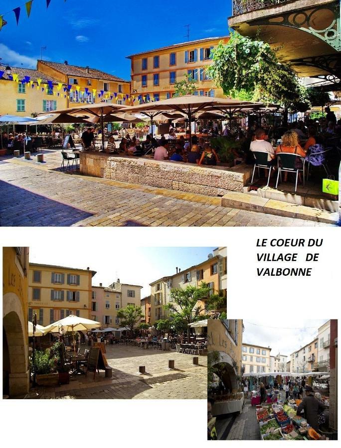 Les Chenes Verts Valbonne Buitenkant foto